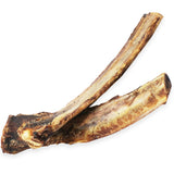 Raw Dog - Beef Ribs 2 Pack 12"