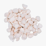 Wild N Fresh - Freeze Dried Scallops