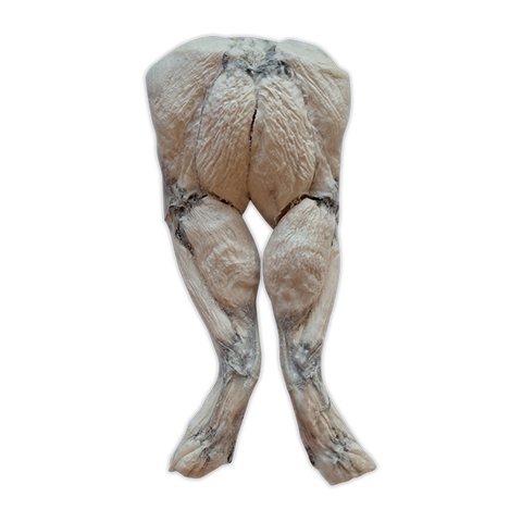 Bones & Co - Freeze-Dried Frog Legs