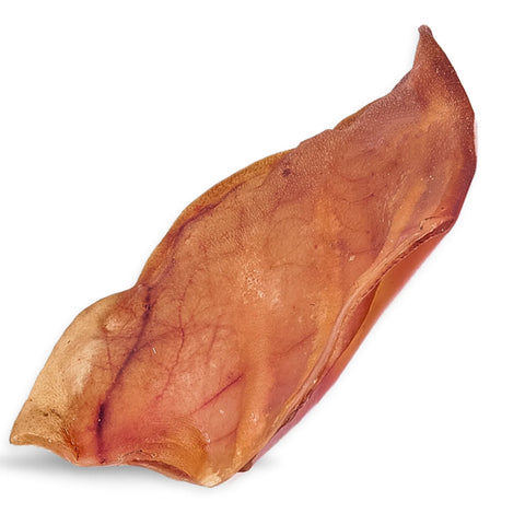 Raw Dog - Pig Ear