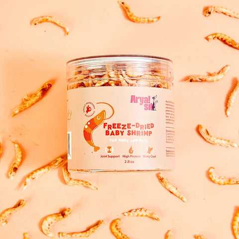 Arya Sit - Freeze-Dried Shrimp