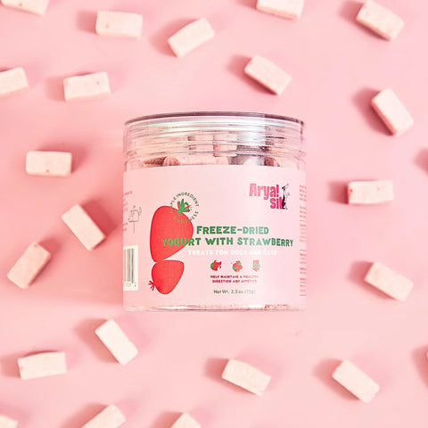Arya Sit - Freeze-Dried Strawberry Yogurt