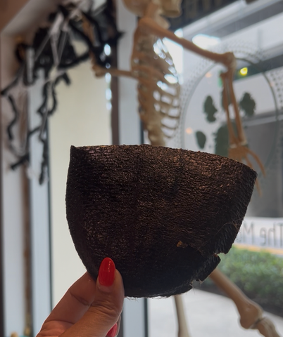 What The Raw - Beaver Tail