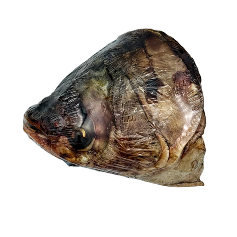 Gaines Family Farmstead - Dehydrated Carp Fish Head