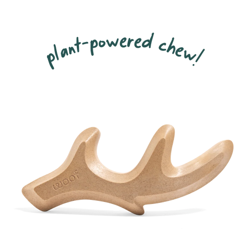Woof - HonestChew Antler