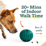 Woof - Forager Walkabout