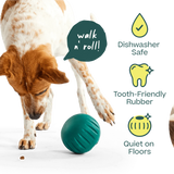 Woof - Forager Walkabout