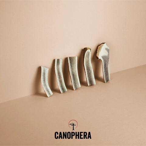 Canophera - Red Deer Antler Split