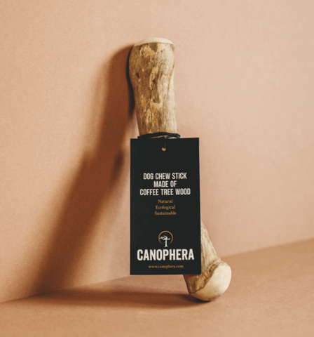 Canophera - Coffee Tree Wood Stick