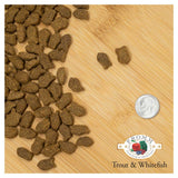 Fromm - Four-Star Trout & Whitefish - Dry Dog Food - Various Sizes